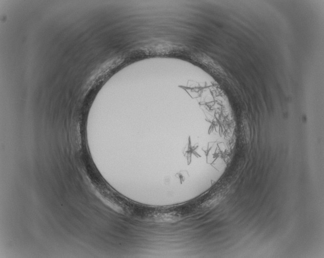 X0000079310638200612151753