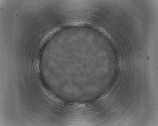 X0000079310640200612151753