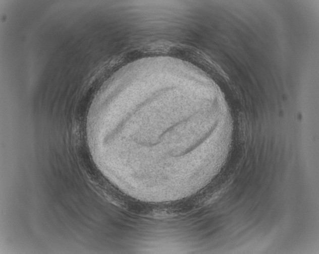 X0000079310641200612151753