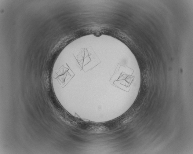 X0000079310642200612151753