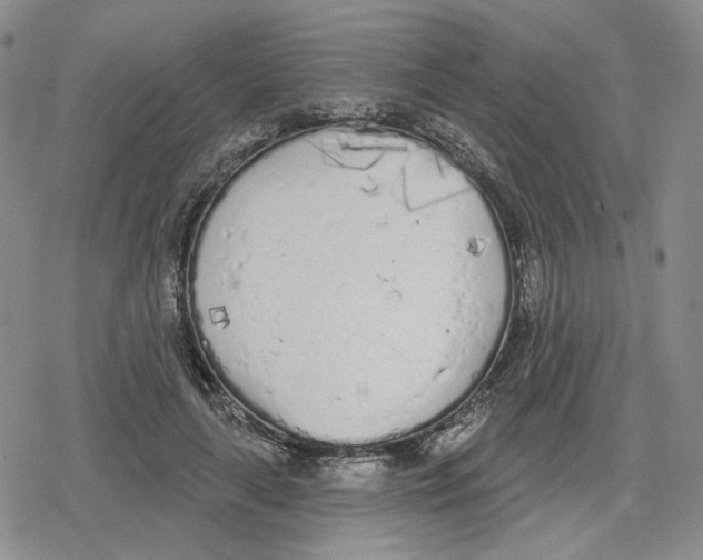 X0000079310643200612151753