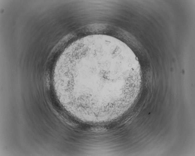 X0000079310644200612151753