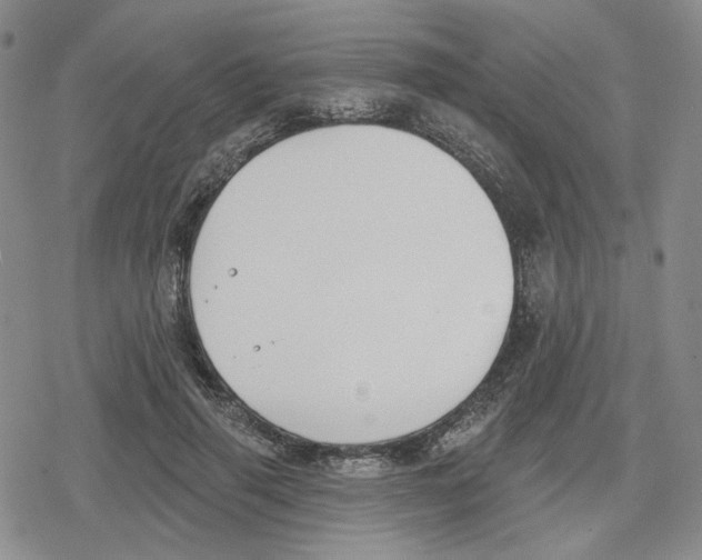 X0000079310645200612151753