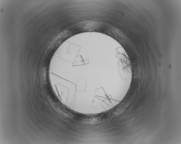 X0000079310646200612151753