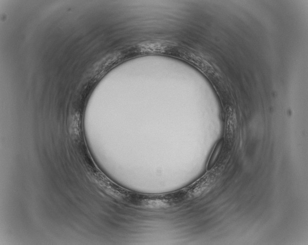 X0000079310649200612151753