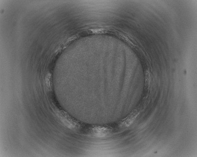 X0000079310650200612151753