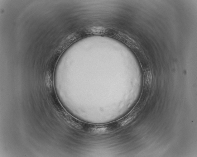 X0000079310651200612151753