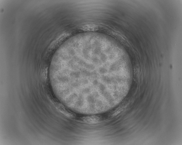 X0000079310652200612151753