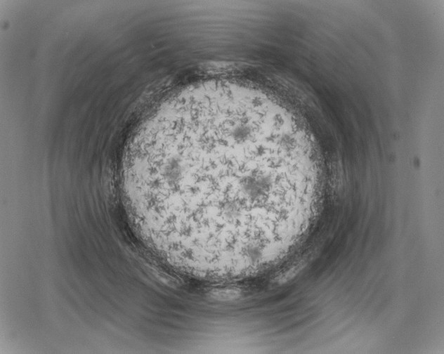 X0000079310653200612151753