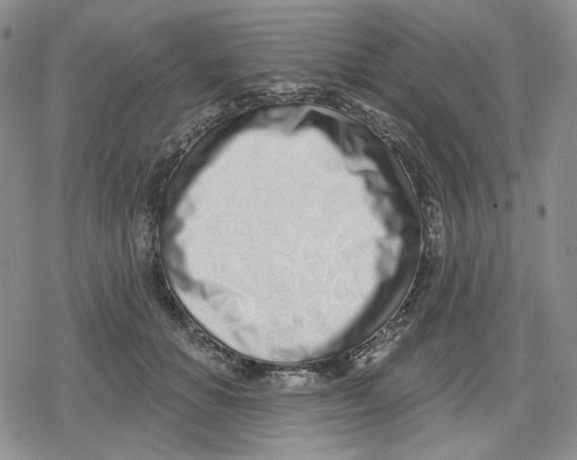 X0000079310654200612151753