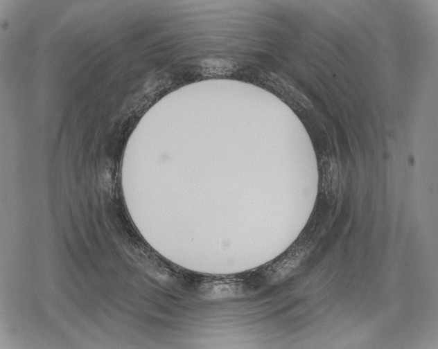 X0000079310655200612151753