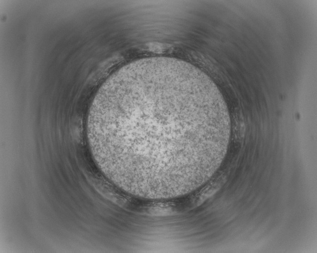 X0000079310656200612151753