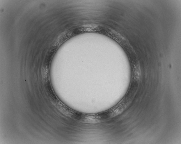 X0000079310657200612151753