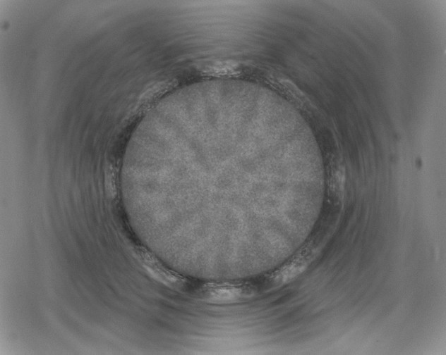 X0000079310658200612151753