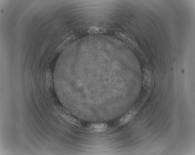 X0000079310659200612151753