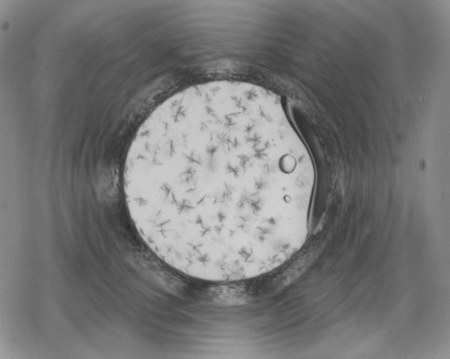 X0000079310660200612151753