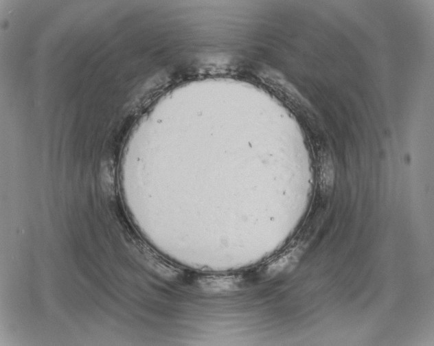 X0000079310661200612151753