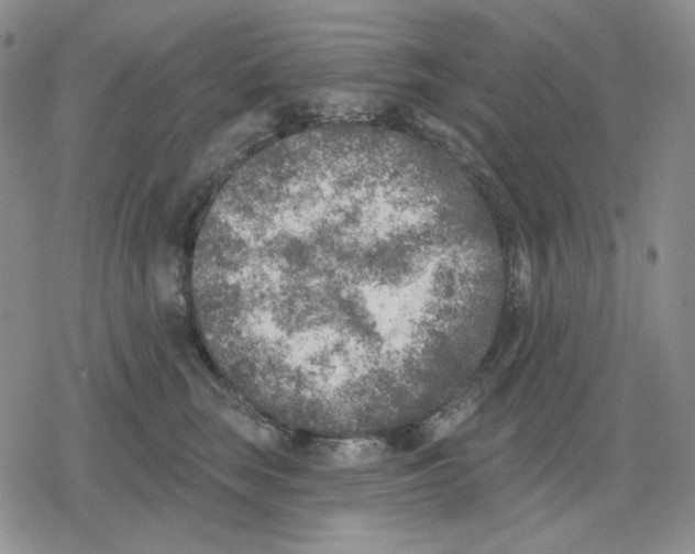 X0000079310663200612151753