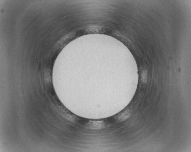 X0000079310665200612151753