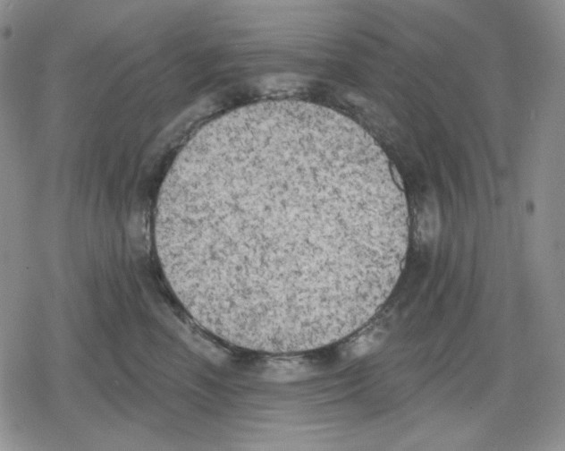 X0000079310666200612151753