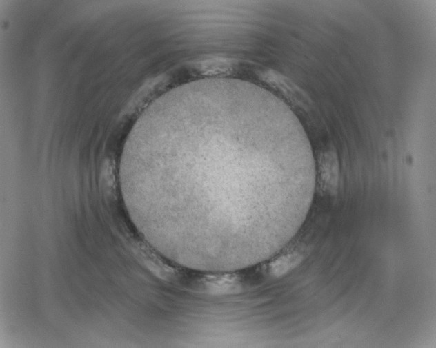 X0000079310667200612151753