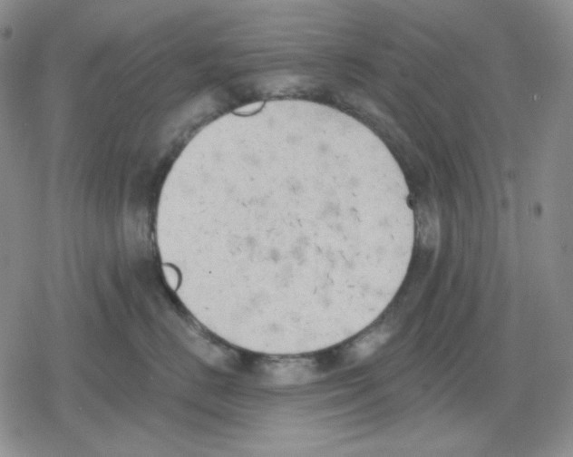 X0000079310670200612151753