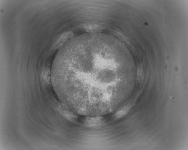 X0000079310671200612151753