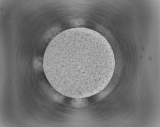 X0000079310672200612151754