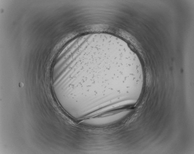 X0000079310673200612151753