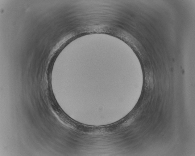 X0000079310674200612151753