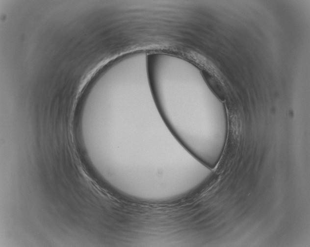 X0000079310676200612151753