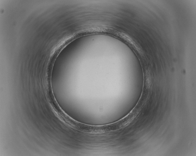 X0000079310677200612151753