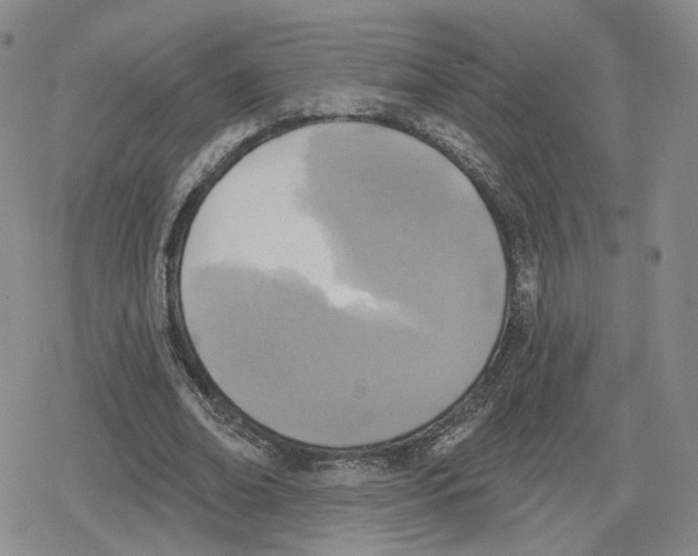 X0000079310678200612151753