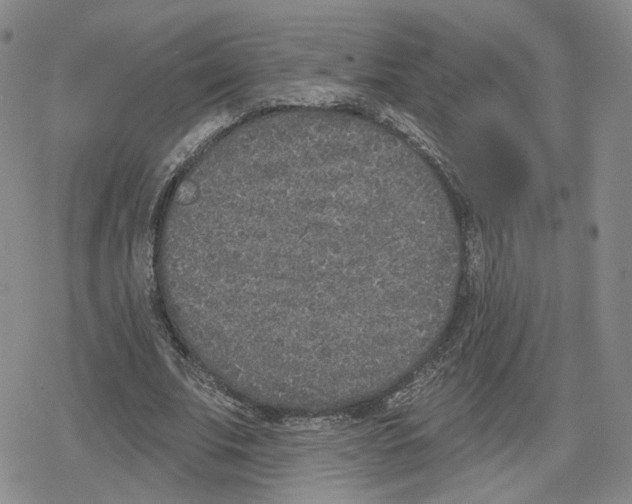 X0000079310679200612151753