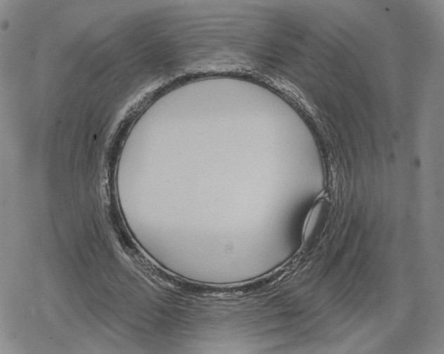 X0000079310680200612151753