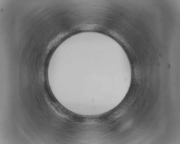 X0000079310682200612151753