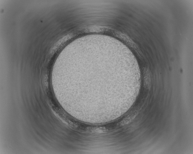 X0000079310683200612151753