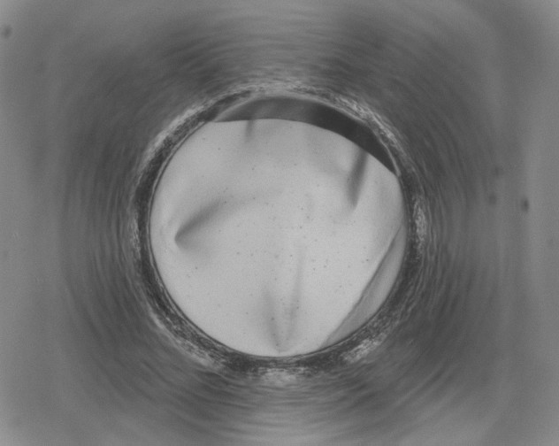 X0000079310684200612151753