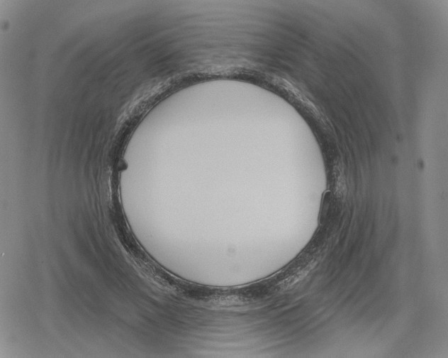 X0000079310685200612151753