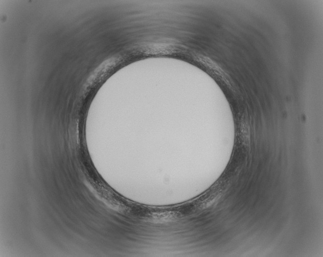 X0000079310686200612151753