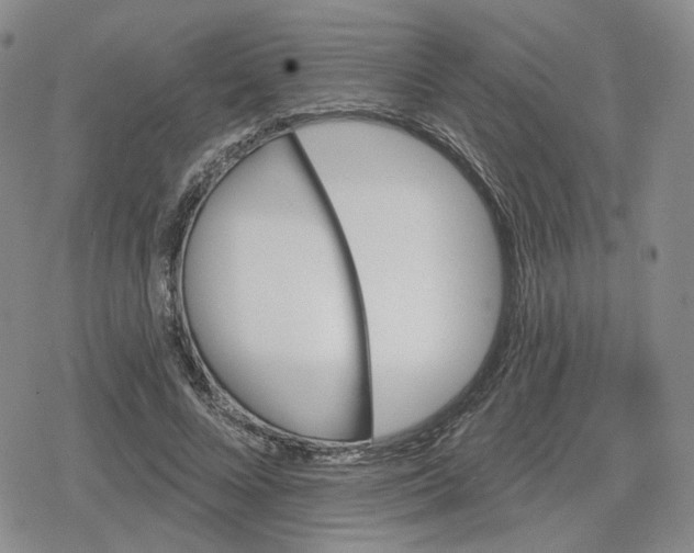 X0000079310688200612151752