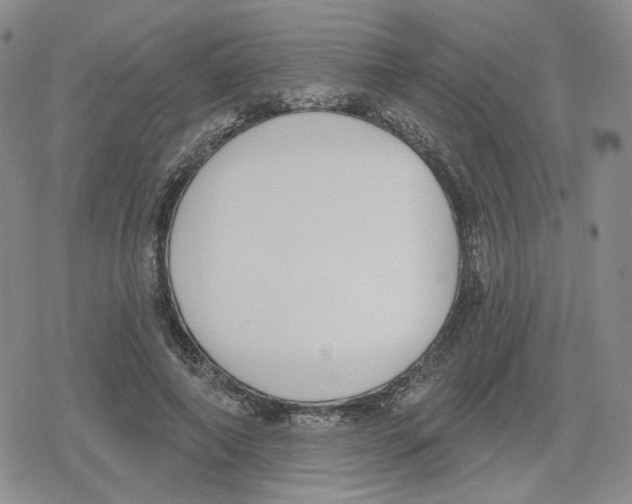 X0000079310690200612151752