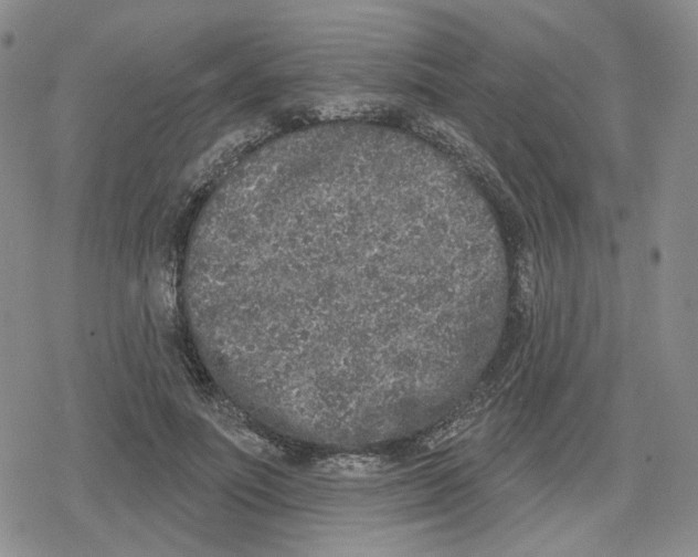 X0000079310691200612151752