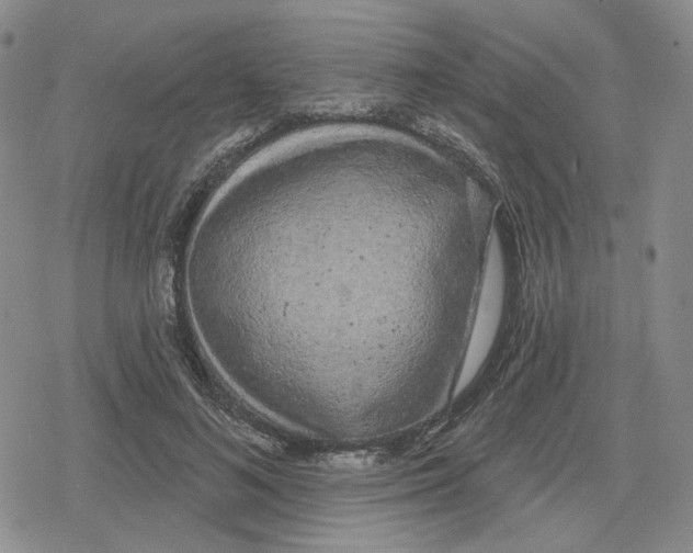 X0000079310692200612151752