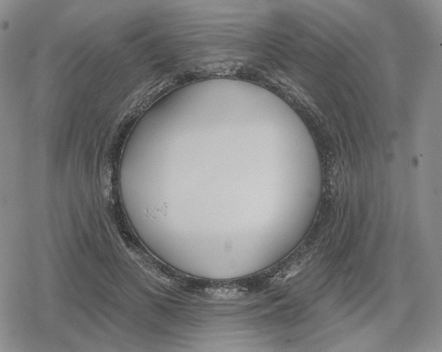 X0000079310693200612151752