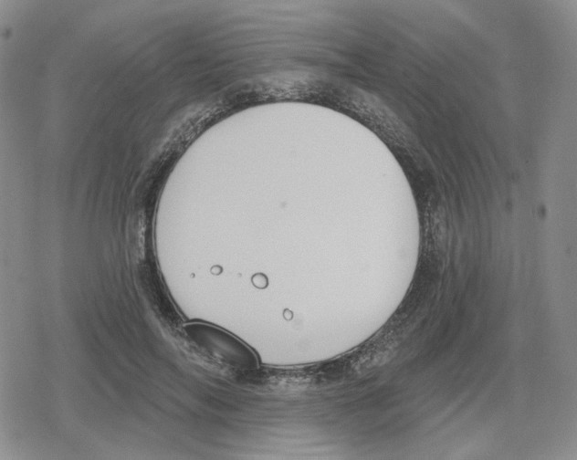 X0000079310694200612151752