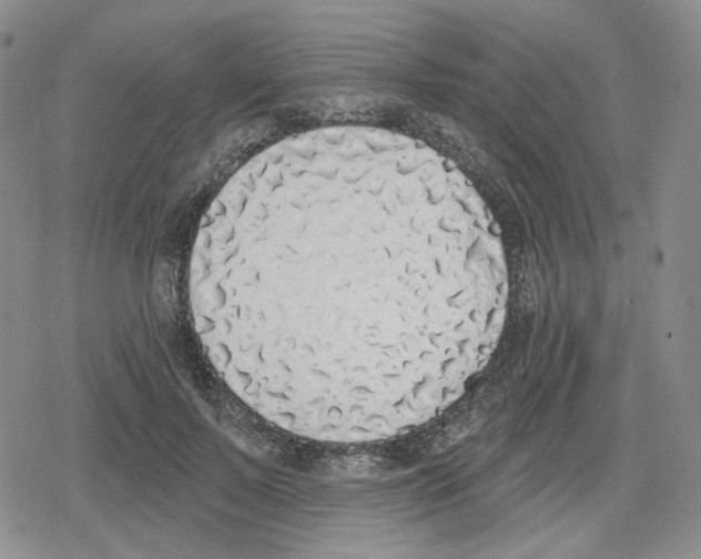 X0000079310695200612151752