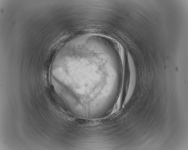 X0000079310696200612151752