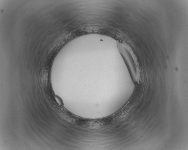 X0000079310697200612151752