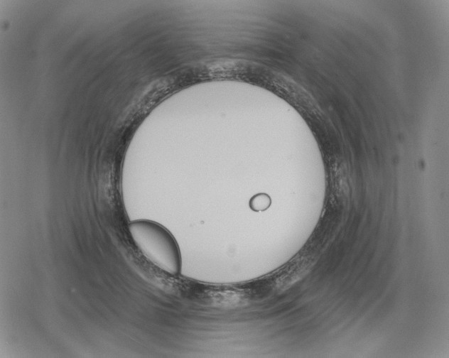 X0000079310698200612151752